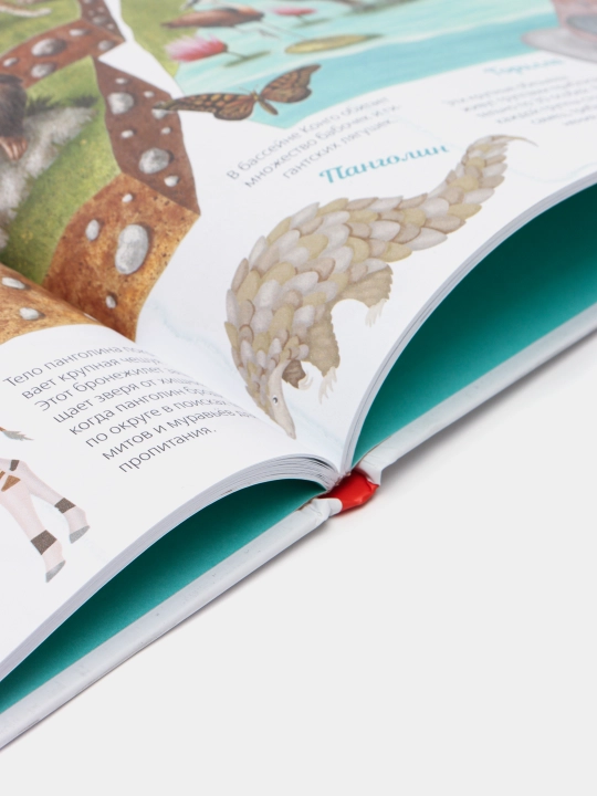 «Zhivotnye» — hayvonlar olami haqidagi illustratsiyali ensiklopediya, Illariya Barsotti