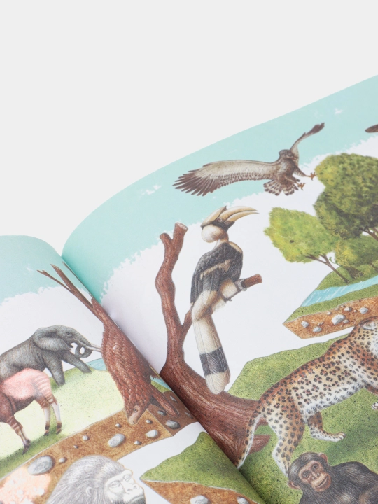 «Zhivotnye» — hayvonlar olami haqidagi illustratsiyali ensiklopediya, Illariya Barsotti