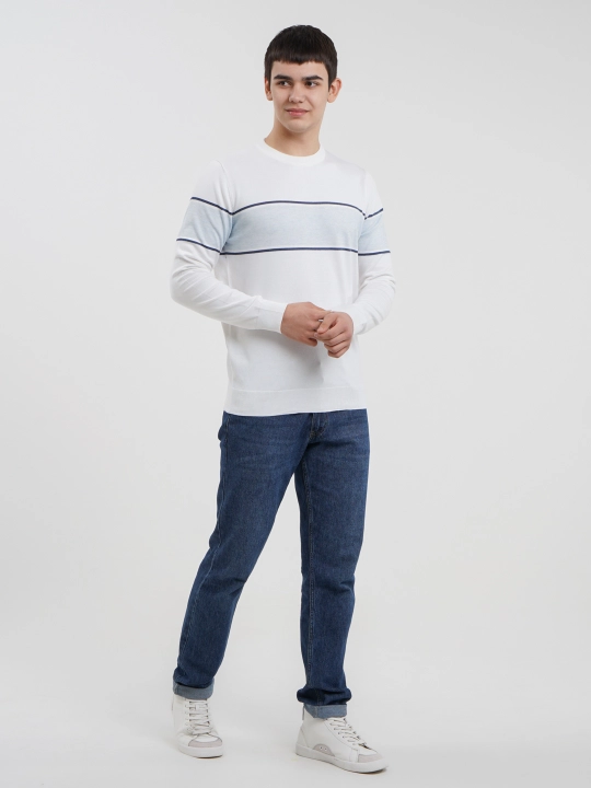 TERRA PRO Erkaklar uzun yengli jemper SS23CA2N-29-12360