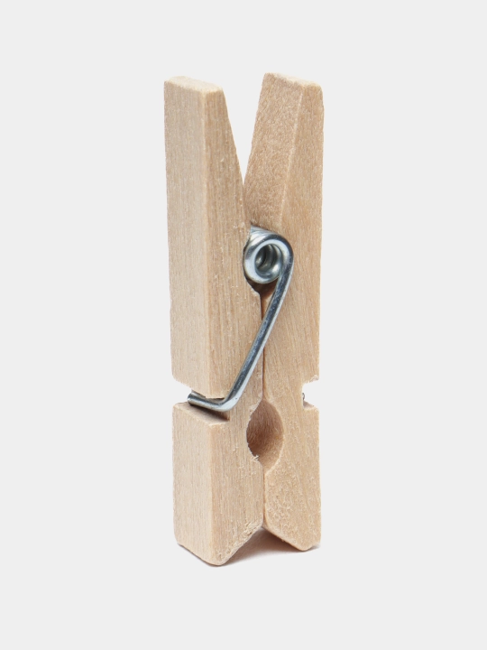 Rangli qisqichlar 3.5 sm, 10 dona
