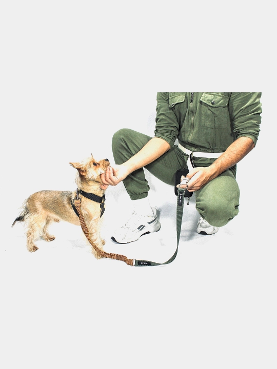 Поводок с ремнем для пояса или плеча Jimi Pet Hands Free