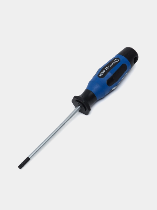 Otvyortka Projahn Torx T25, 100 mm - 