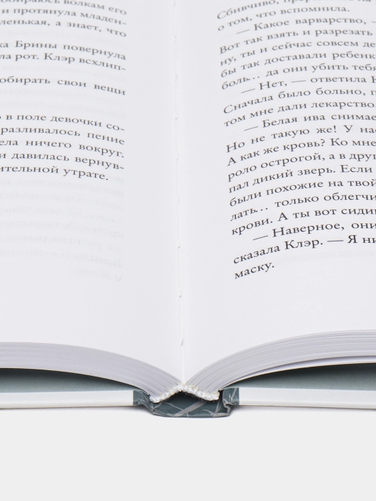 Сын — Лоис Лоури | Захватывающий роман о надежде, выборе и судьбе