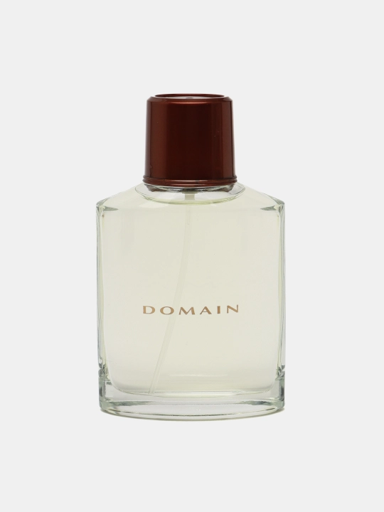 Erkaklar uchun tualet suvi Domain, 75 ml
