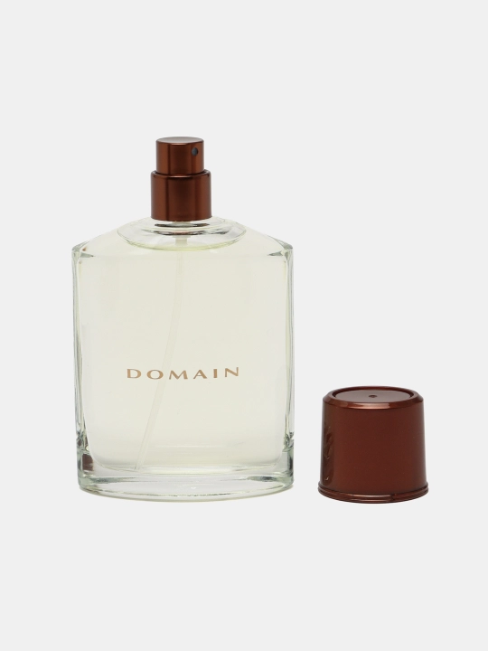 Erkaklar uchun tualet suvi Domain, 75 ml