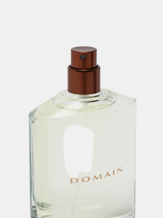Erkaklar uchun tualet suvi Domain, 75 ml