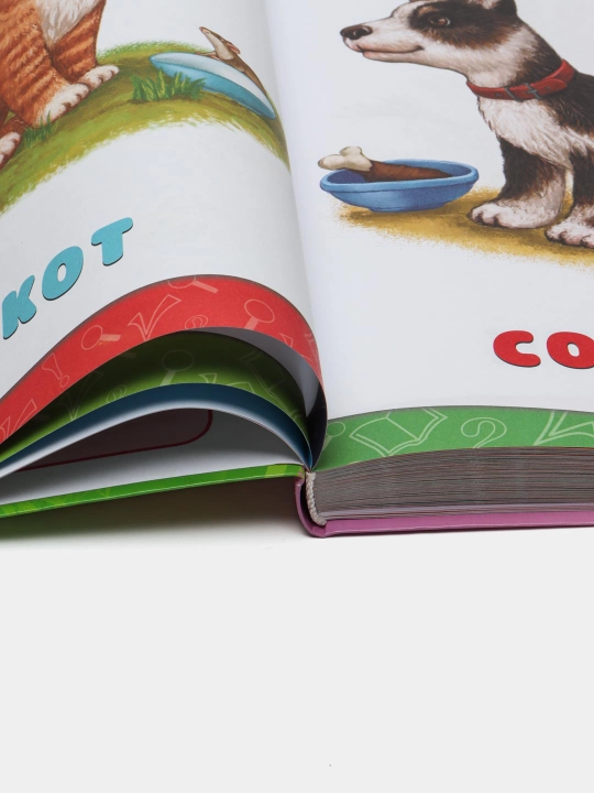 Kitob «Godovoy kurs zanyatiy ot rozhdeniya do goda» — rivojlanish kursi, CD MP3