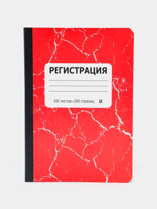 Журнал регистрации в клетку 0058398, А4, 100 листов