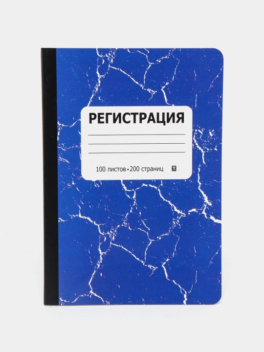 Журнал регистрации в клетку 0058398, А4, 100 листов - 