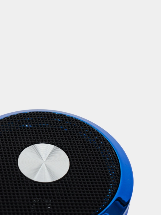 Portativ dinamik Bluetooth Mini Speaker WS-887