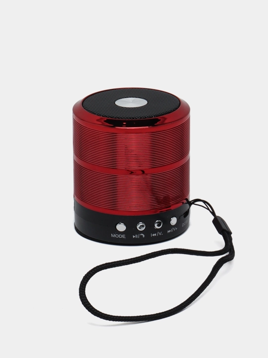 Portativ dinamik Bluetooth Mini Speaker WS-887