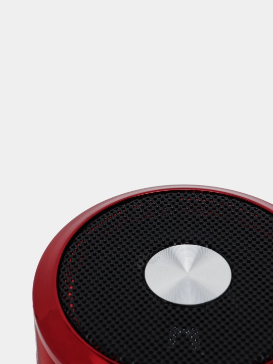 Portativ dinamik Bluetooth Mini Speaker WS-887