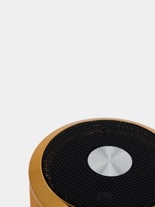 Portativ dinamik Bluetooth Mini Speaker WS-887