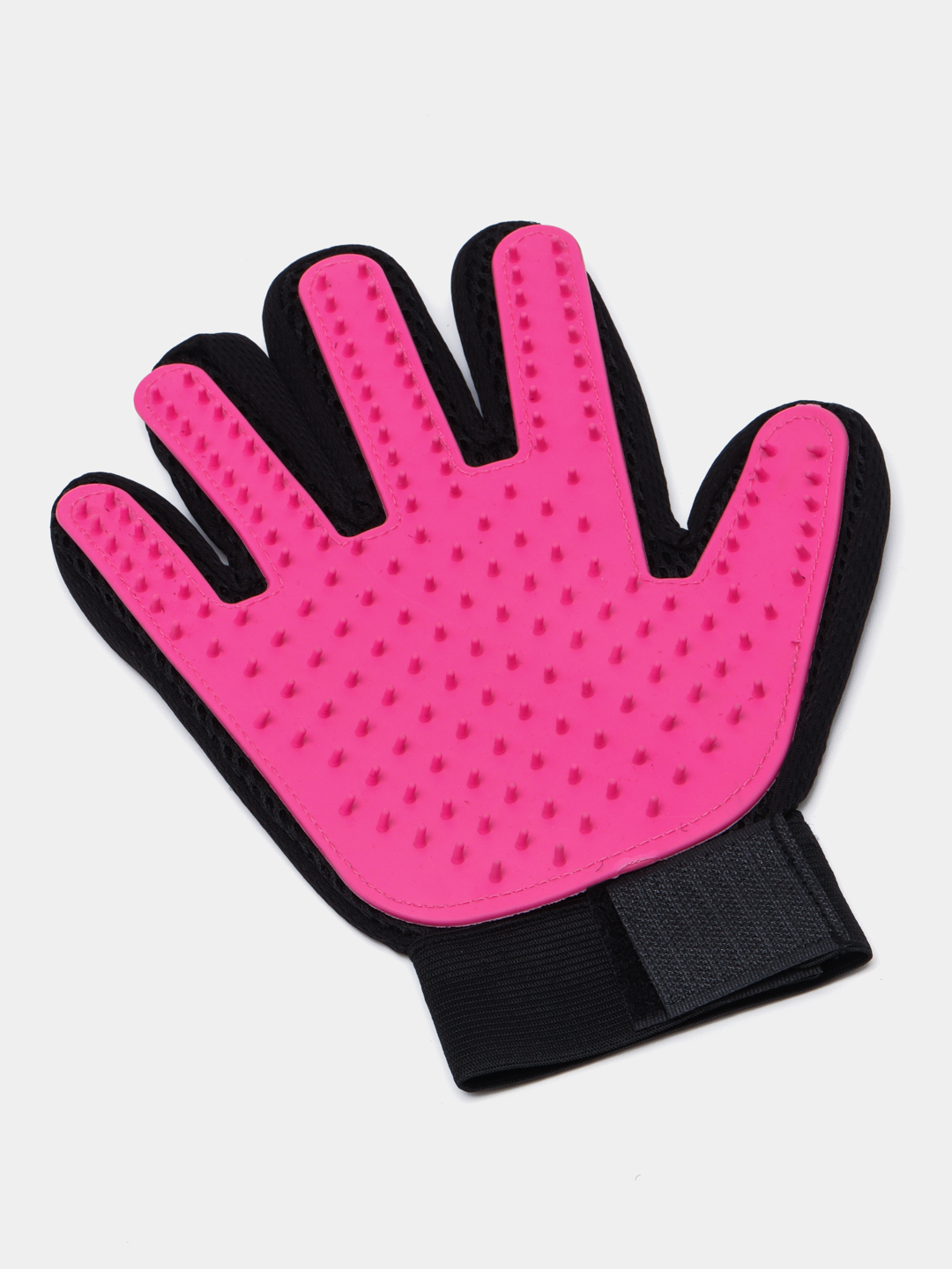 Rus talabalar porno tomosha Porno blowjob