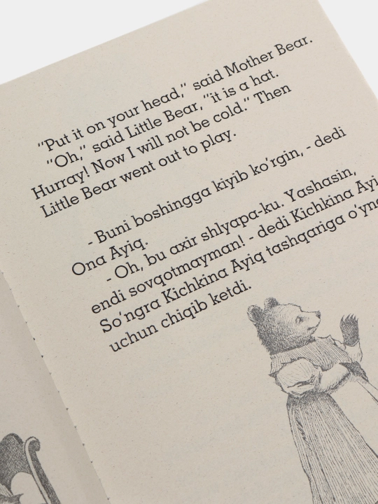Little bear. Ayiqchaning sarguzashtlari