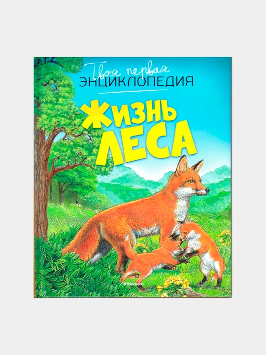 Жизнь леса — Мари-Рене Пимон | Иллюстрированная книга о природе и животных