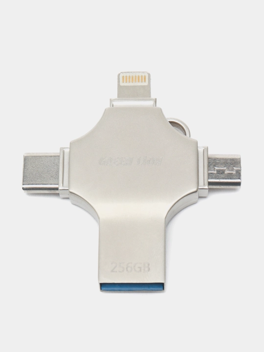 Universal flesh-disk Green Lion 4-In-1 USB, 256 GB, 128 GB, Silver - 