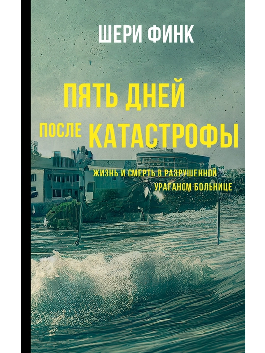 Пять дней после катастрофы, Финк Шери