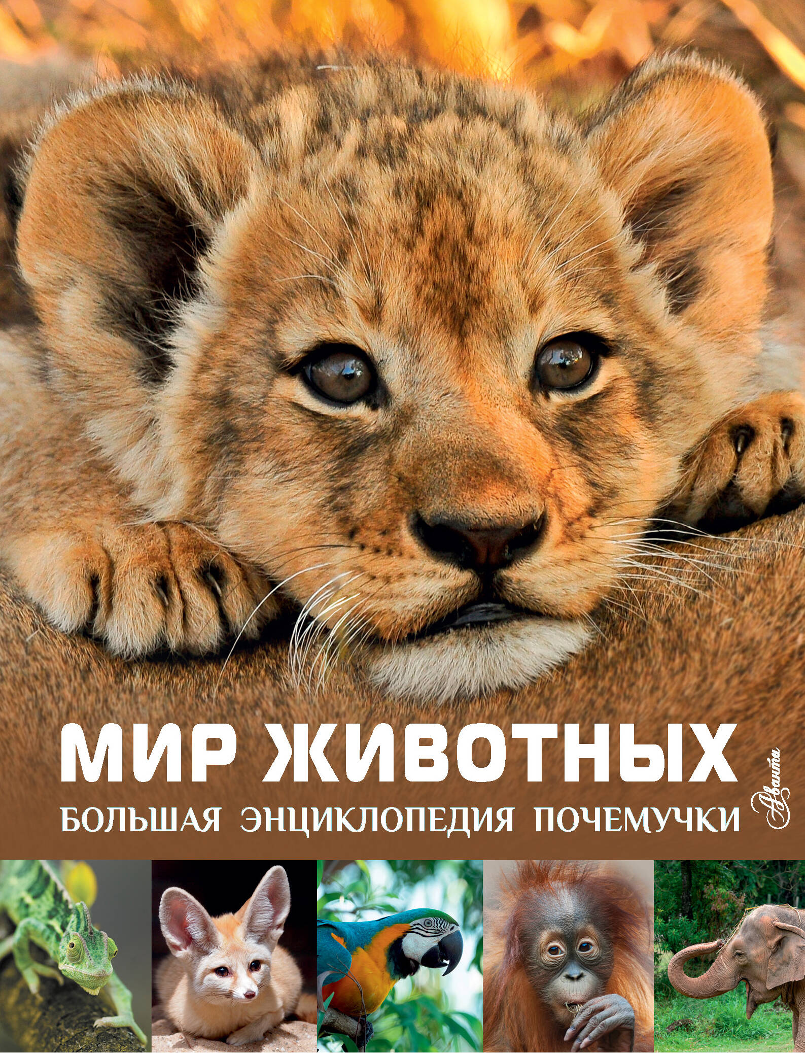 "Mir zhivotnykh" Katta ensiklopediya, Bolalar uchun savol-javoblar - 