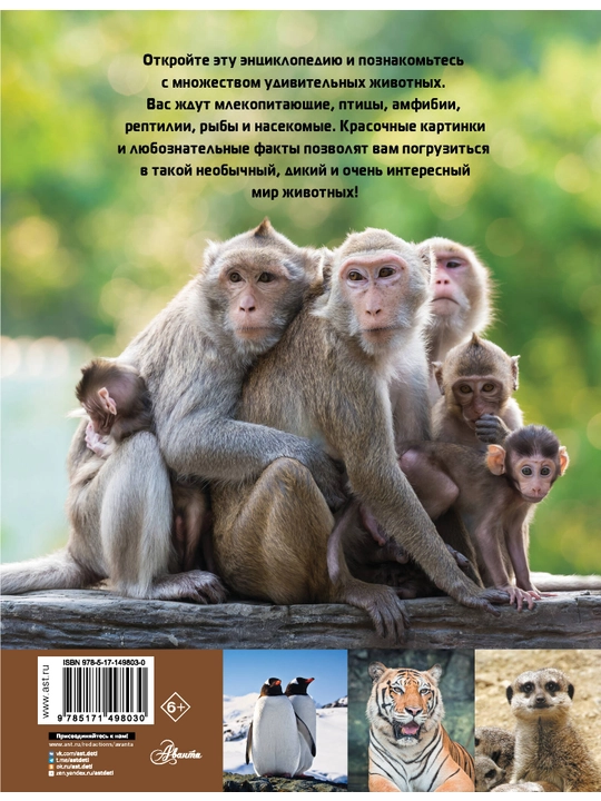 "Mir zhivotnykh" Katta ensiklopediya, Bolalar uchun savol-javoblar