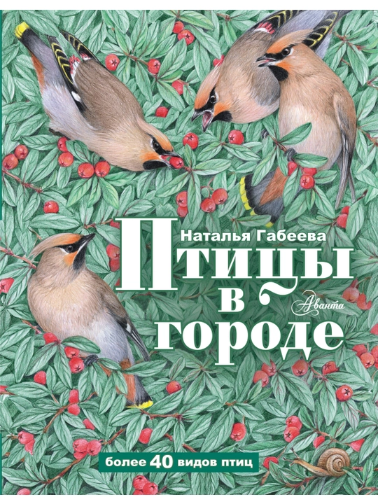 Птицы в городе, Наталья Габеева