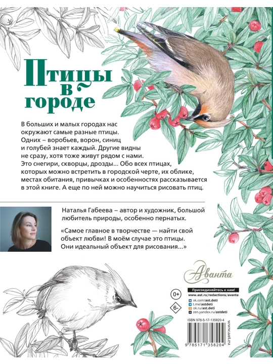 Птицы в городе, Наталья Габеева