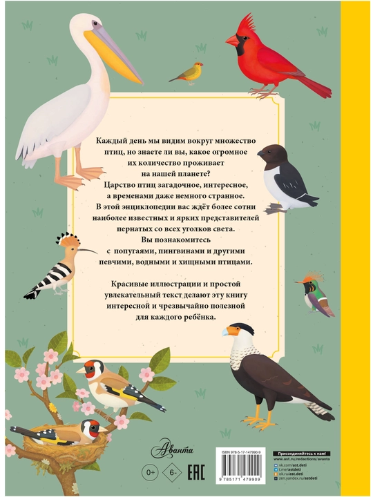Ptitsy, entsiklopediya, Tomash Tuma