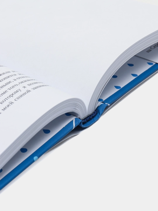 Дитя погоды, Макото Синкай