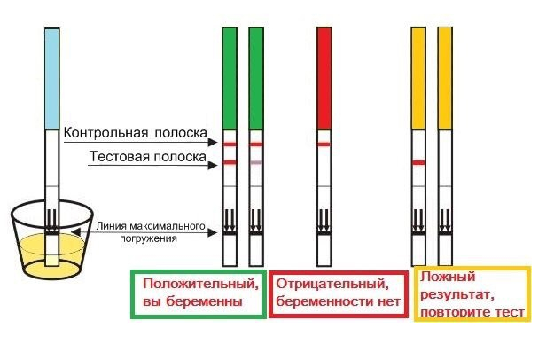 Сколько нужно держать тест в моче. Тест-полоски для определения беременности по моче. Тест-полоска на беременность тест-полоска на беременность. До какого уровня опускать тест на беременность в мочу. Тест полоска на беременность инструкция.