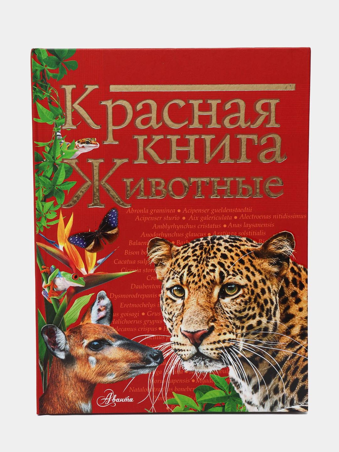 Книги о животных 1 класс. Красная книга России. Животные. Красная книга для детей. Книги о животных. Красивая обложка книги про животных.