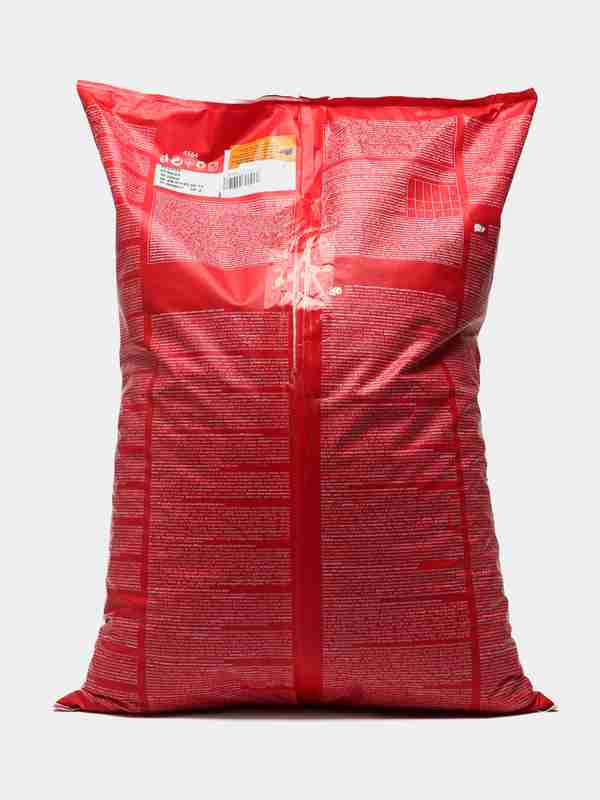 Ayollar hukmronligi Fetish onlayn