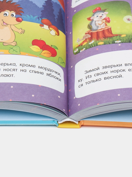 Про всё на свете для любознательных малышей, Барановская Ирина, Хомич Елена
