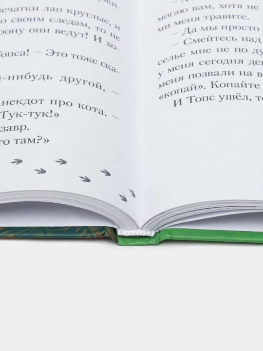 Мурзозавр и Овирапторы. Гость из будущего, Винтер Анна