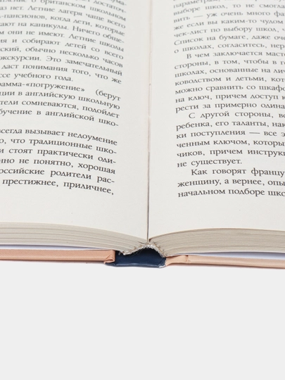 Как дать ребенку британское образование, при этом не разориться и сохранить себе нервы. Карина Шарин