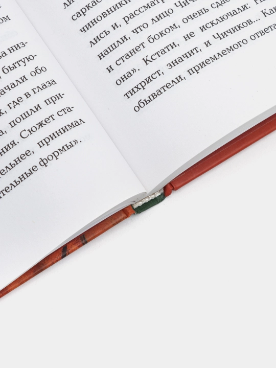 Xameleon. Poxojdeniya literaturnix negodyayev, Pavel Stelliferovskiy