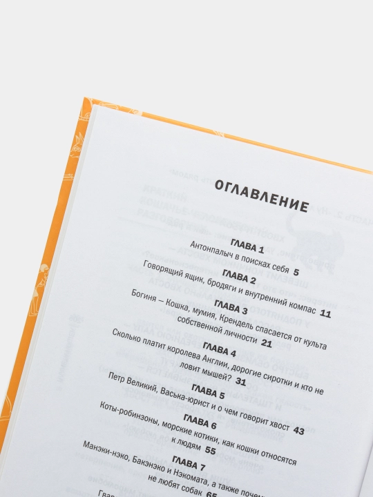 Планета кошек, Логинов Виктор