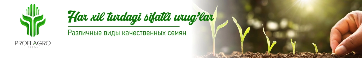 Gold Seeds Agro