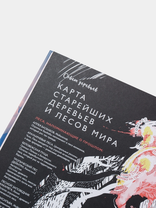 Дневник планеты Земля: тайны, сокровища, катастрофы, Лаура Эртимо, Сату Континен