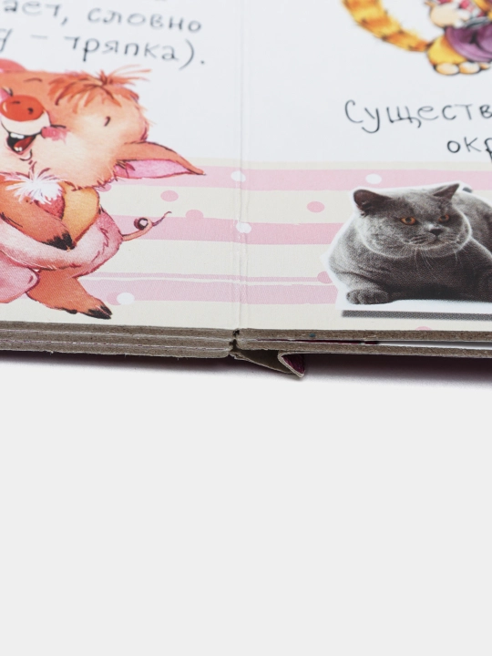 Мой любимый котенок