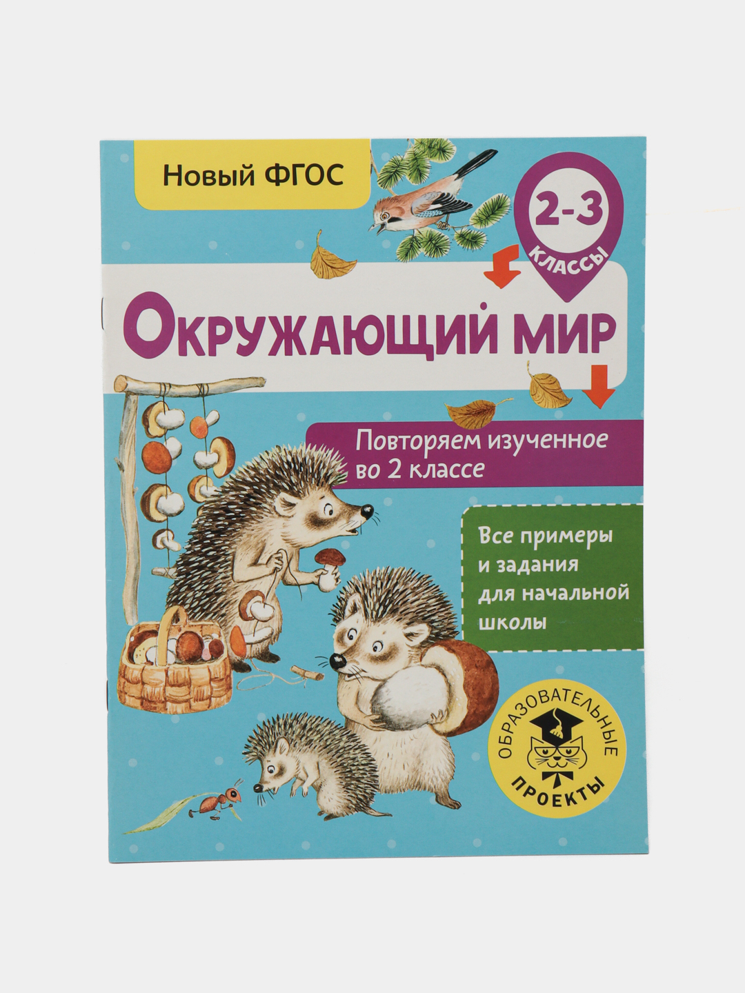 Окружающий мир. Повторяем изученное во 2 классе. 2-3 класс. Зайцев Артем  Александрович купить по низким ценам в интернет-магазине Uzum (471623)