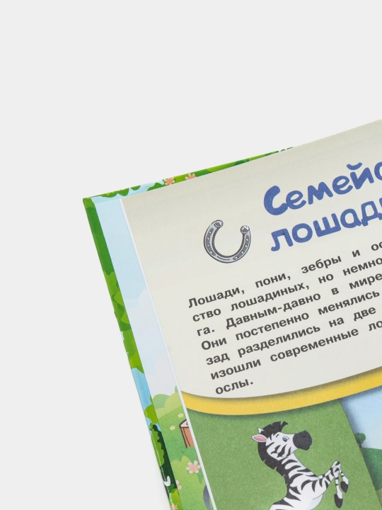 "Лошади и пони" Ирина Барановская