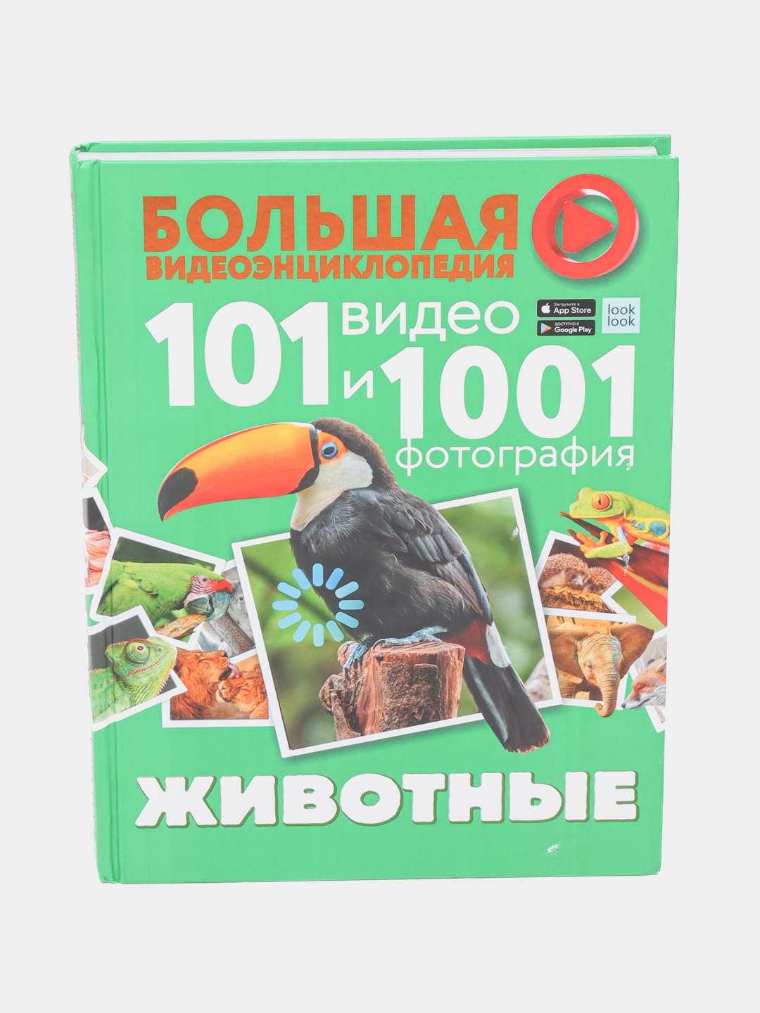 Большая Видеоэнциклопедия. Животные. 101 видео и 1001 фотография купить по  низким ценам в интернет-магазине Uzum (473829)