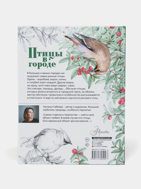 Птицы в городе, Наталья Габеева