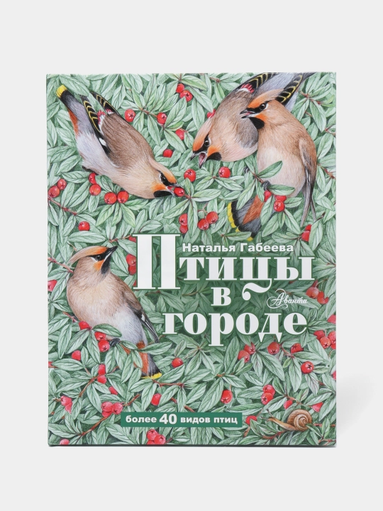Ptitsy v gorode, Natalya Gabeyeva - 