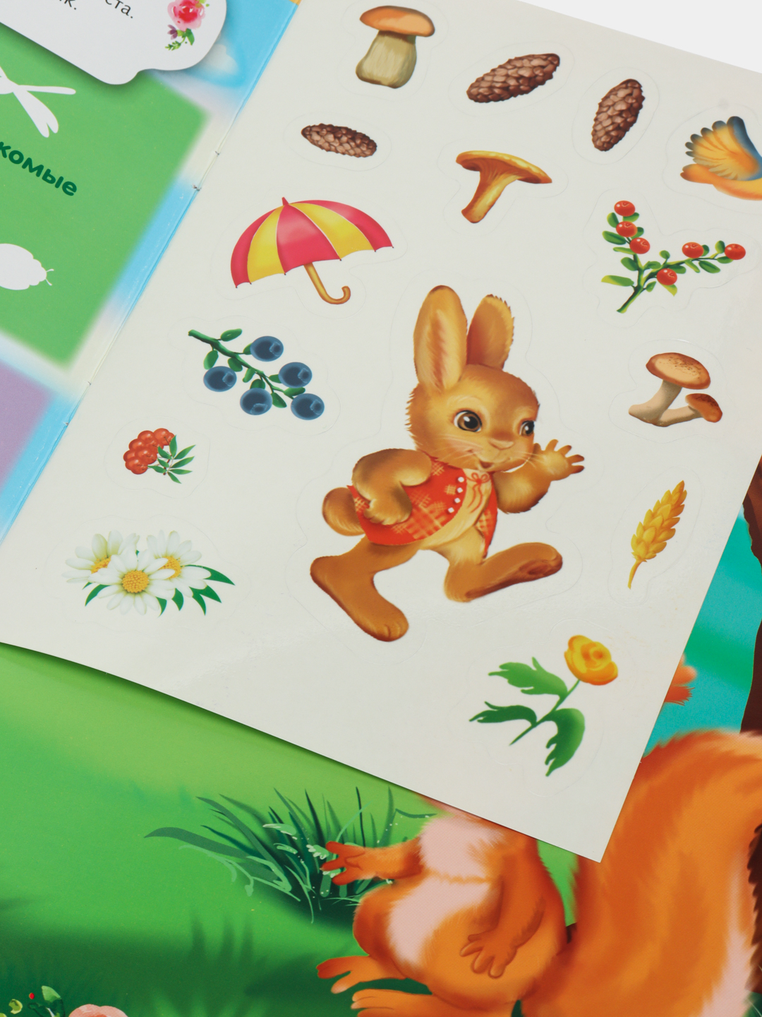 Slepkov xotini bilan jinsiy aloqada