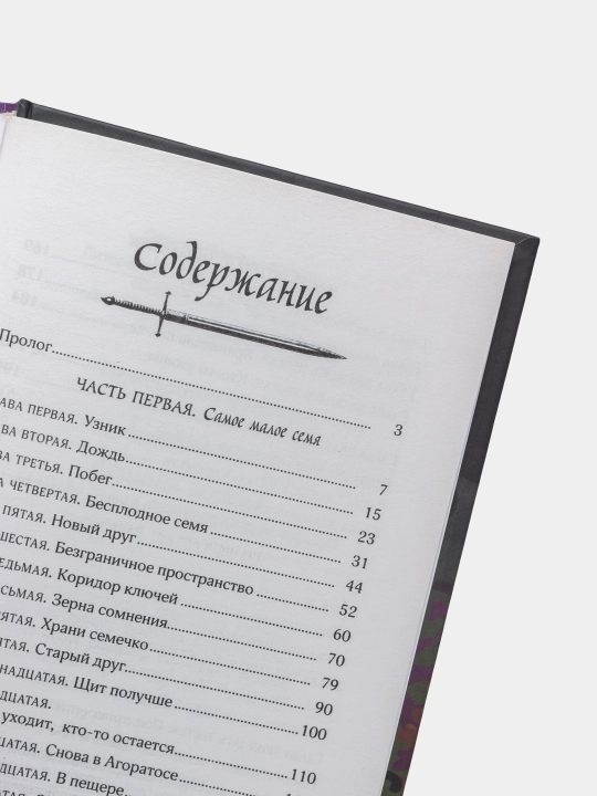 Принцы-воины, Невидимое вторжение, Ширер Присцилла, Детвилер Джина
