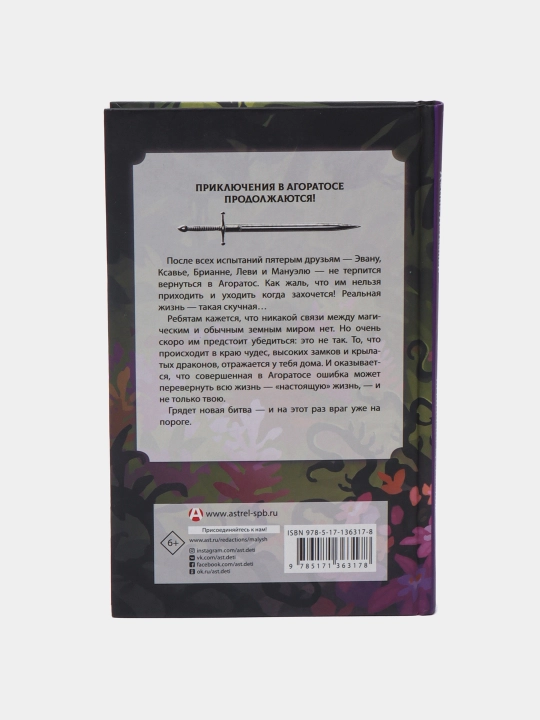 Принцы-воины, Невидимое вторжение, Ширер Присцилла, Детвилер Джина