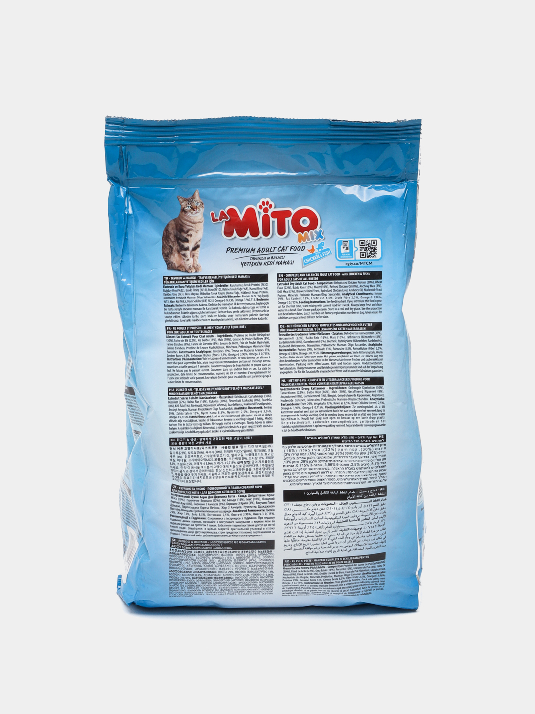 Hayz korgan mushuklar