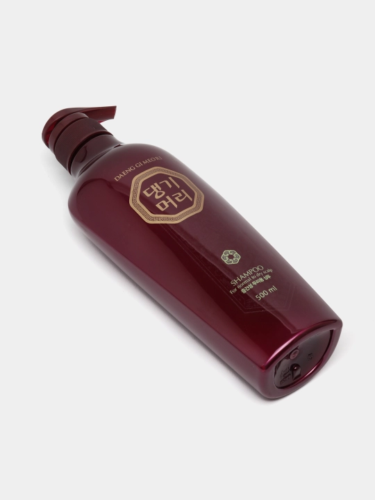 Шампунь для жирных, сухих, вьющихся и разных типов волос, Daeng Gi Meo Ri, Shampoo, 500 мл