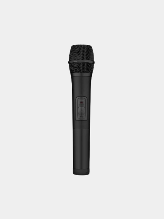 Portativ kolonka Fenda PA300 100W